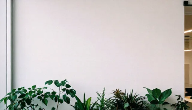 设备使用中常见问题及规范维护建议